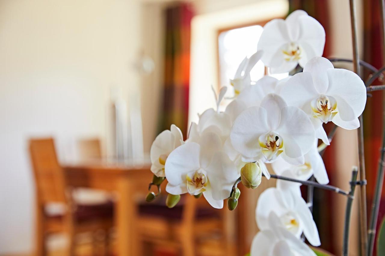 Ferienwohnungen Schwendinger โอเบอร์สทดอร์ฟ ภายนอก รูปภาพ